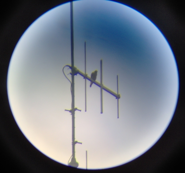 S2 op de antenne